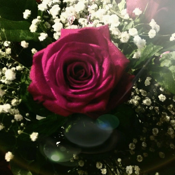 Meet your Posher, Zetta - Picture 1 of 4